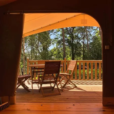 Campsite 46 Rainettes