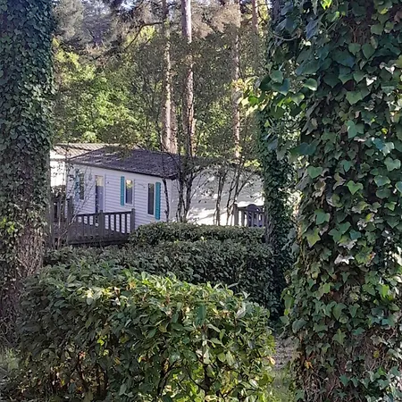 46 Rainettes Campsite *