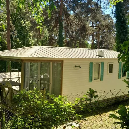 46 Rainettes Campsite Goujounac