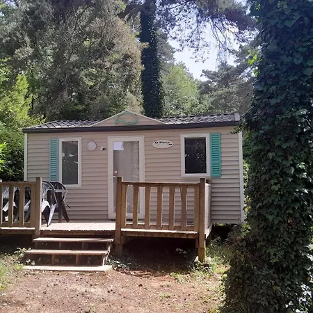 46 Rainettes Campsite *