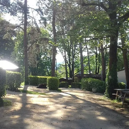 46 Rainettes Campsite Goujounac