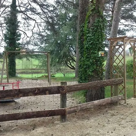 46 Rainettes Campsite