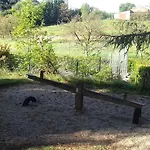 46 Rainettes Campsite