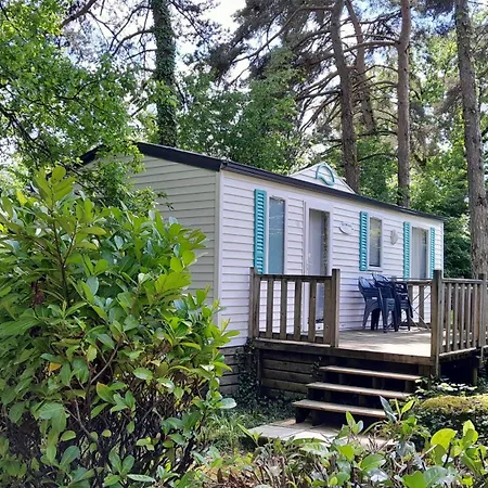 캠프장 46 Rainettes