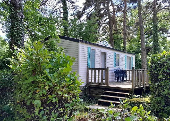 Campeggio 46 Rainettes