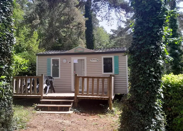 46 Rainettes Campeggio *