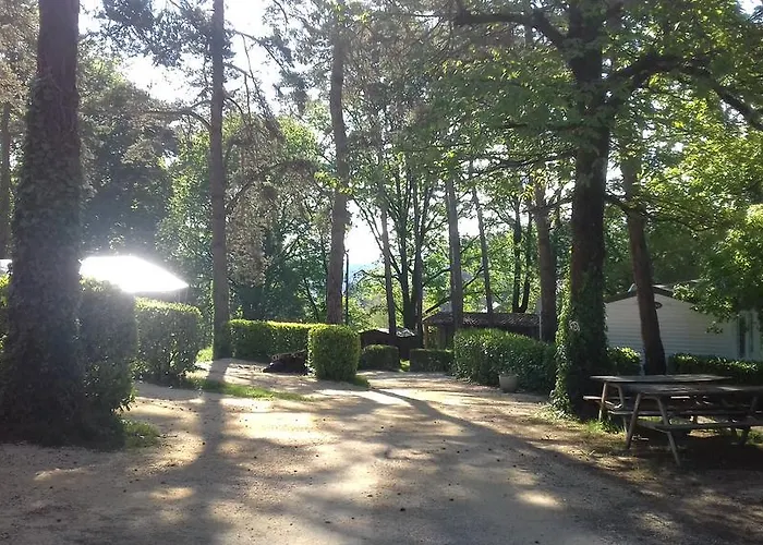 46 Rainettes Campingplatz Goujounac